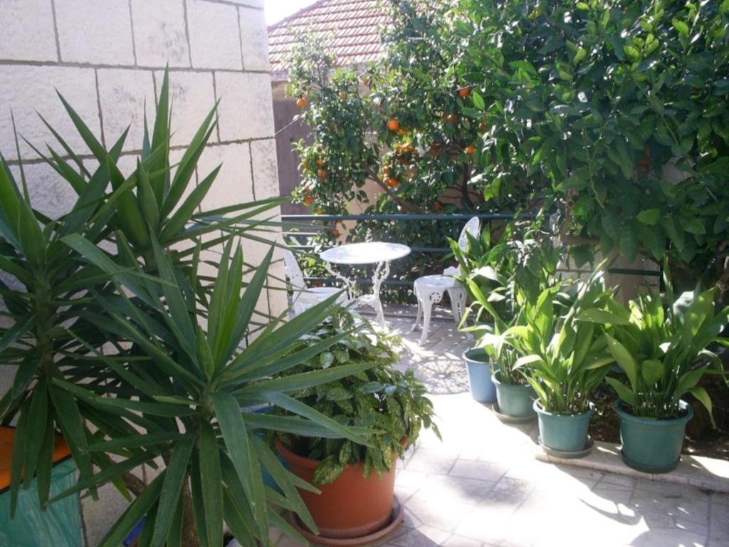 Dubrovnik Sea View Apartment Buitenkant foto